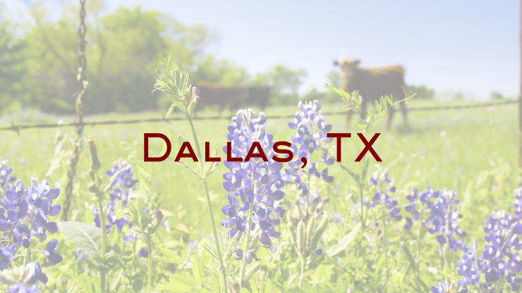 dallas